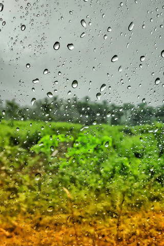 Barish mobile wallpaper